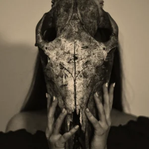 Untitled design (3)