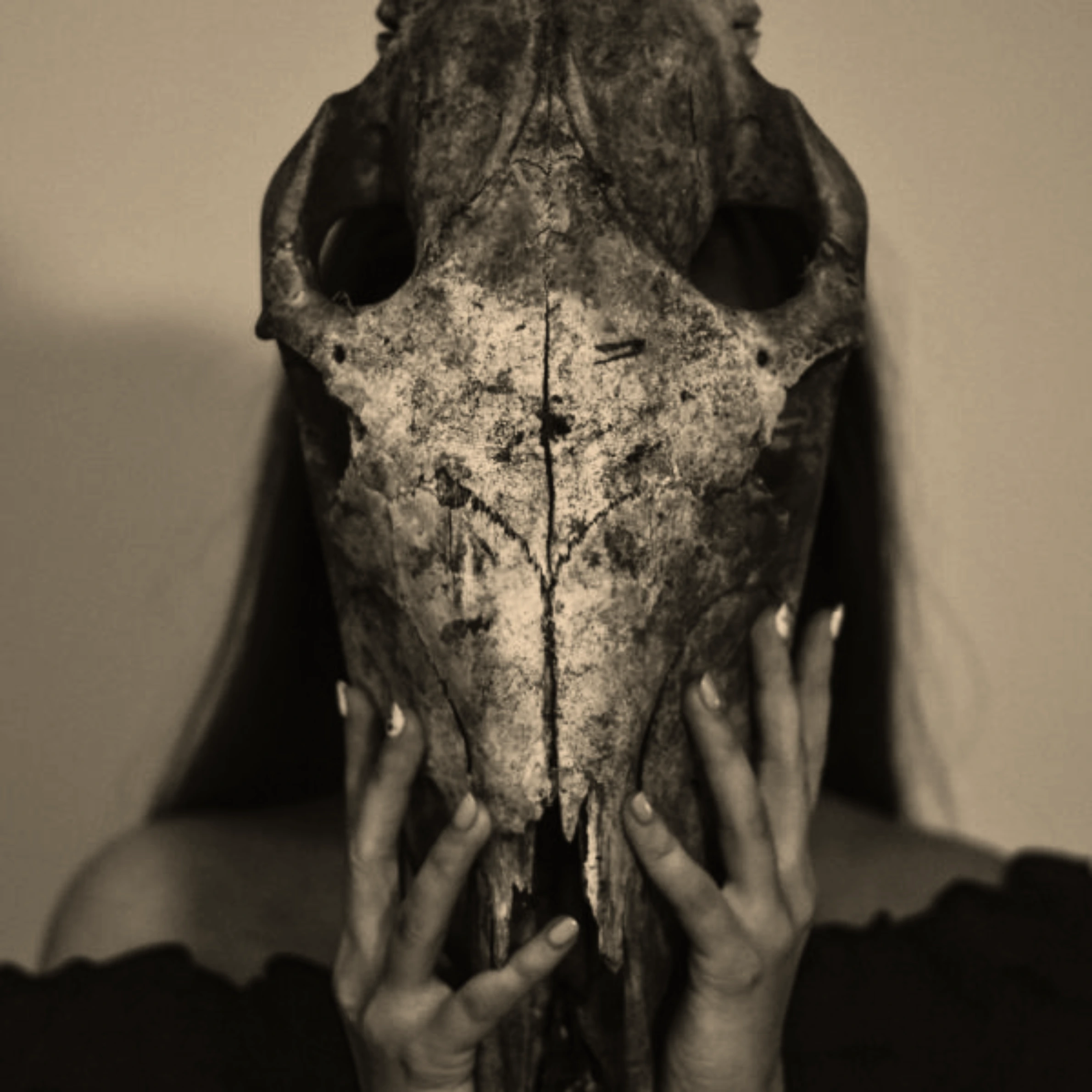 Untitled design (3)