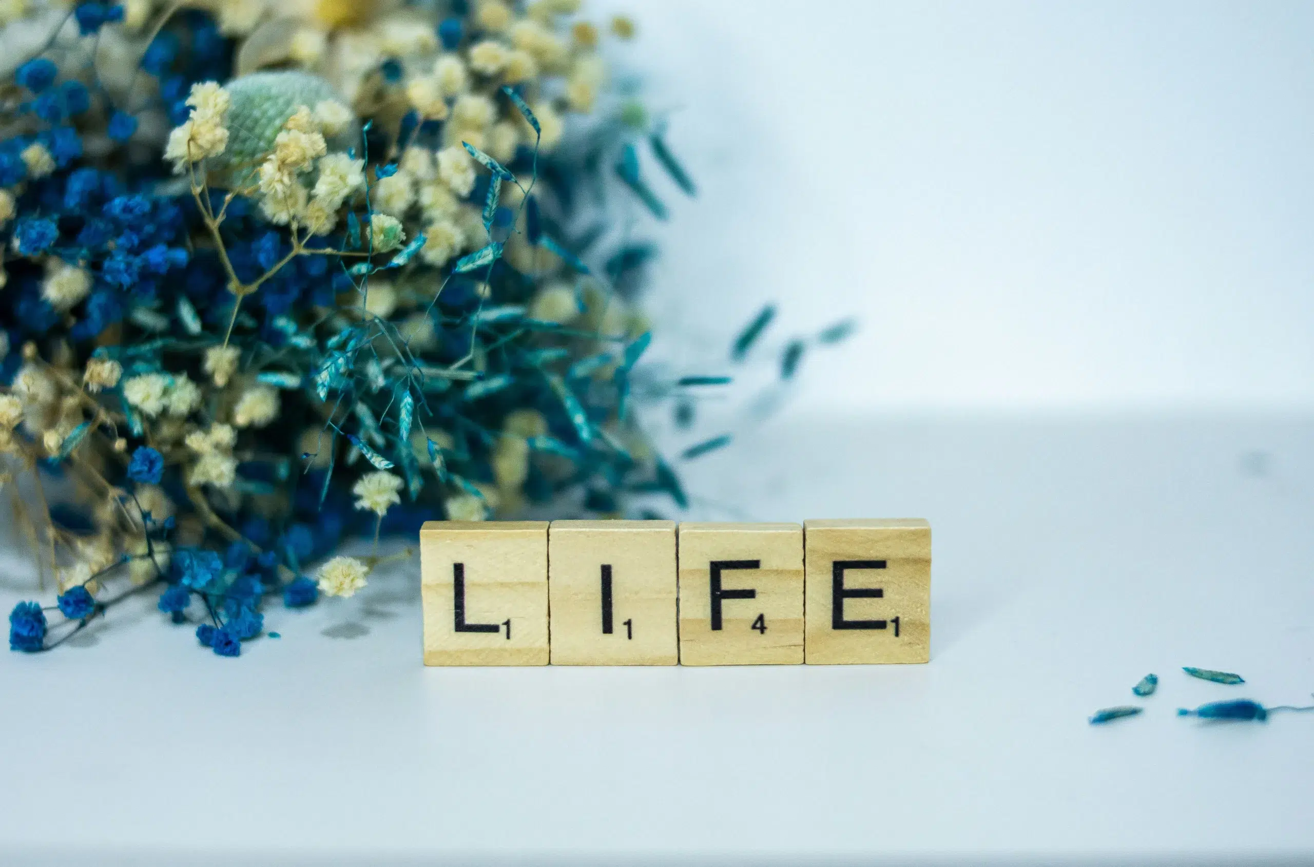 An Unfiltered Monthly Life Update: Writing, Books & Life – May 2026